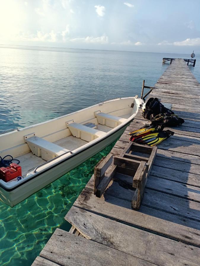 Warahnus Dive Homestay Kri Ngoại thất bức ảnh